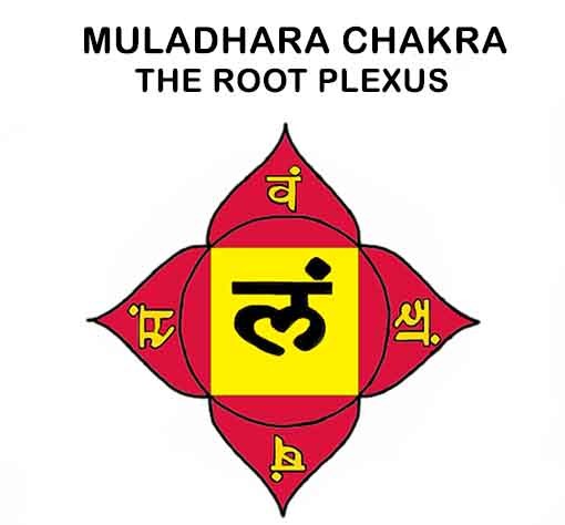 Everything You Need to Know About Muladhara Chakra