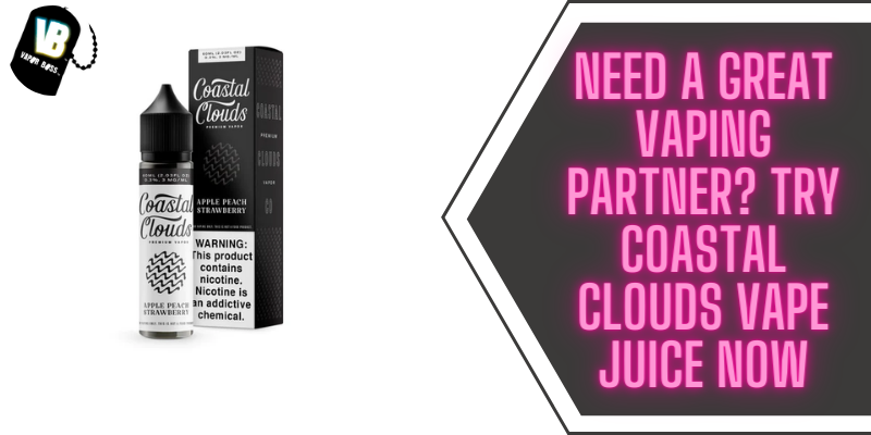 Need A Great Vaping Partner? Try Coastal Clouds Vape Juice Now!!