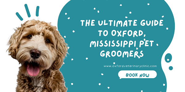 The Ultimate Guide to Oxford, Mississippi Pet Groomers