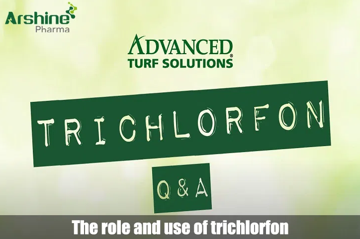 The role and use of trichlorfon