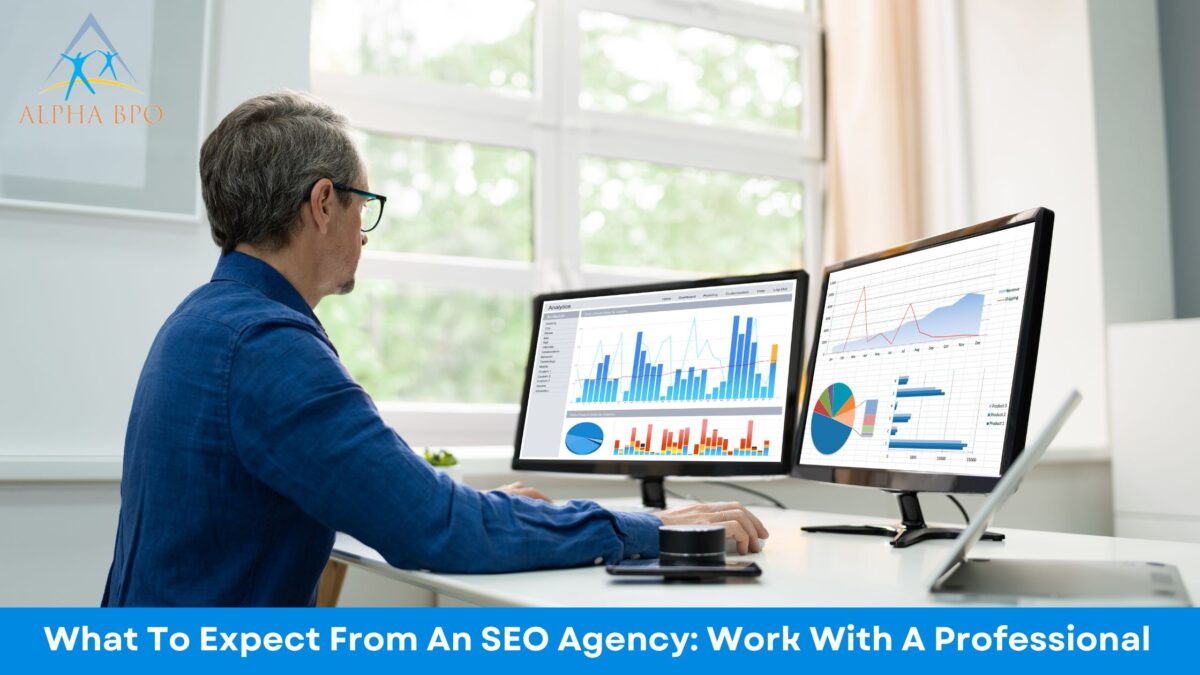 What To Expect From An SEO Agency: Work With A Professional
