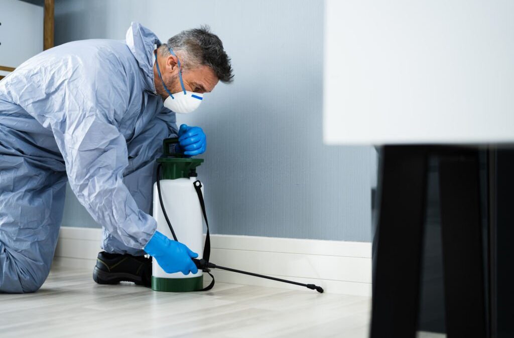 How Often Do You Really Need To Schedule Pest Control Services?