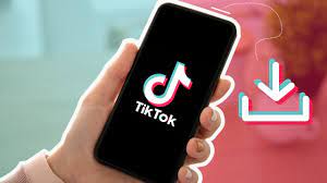 Download TikTok Videos Free