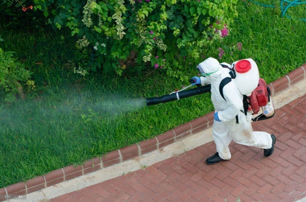 The Ultimate Guide to Pest Control