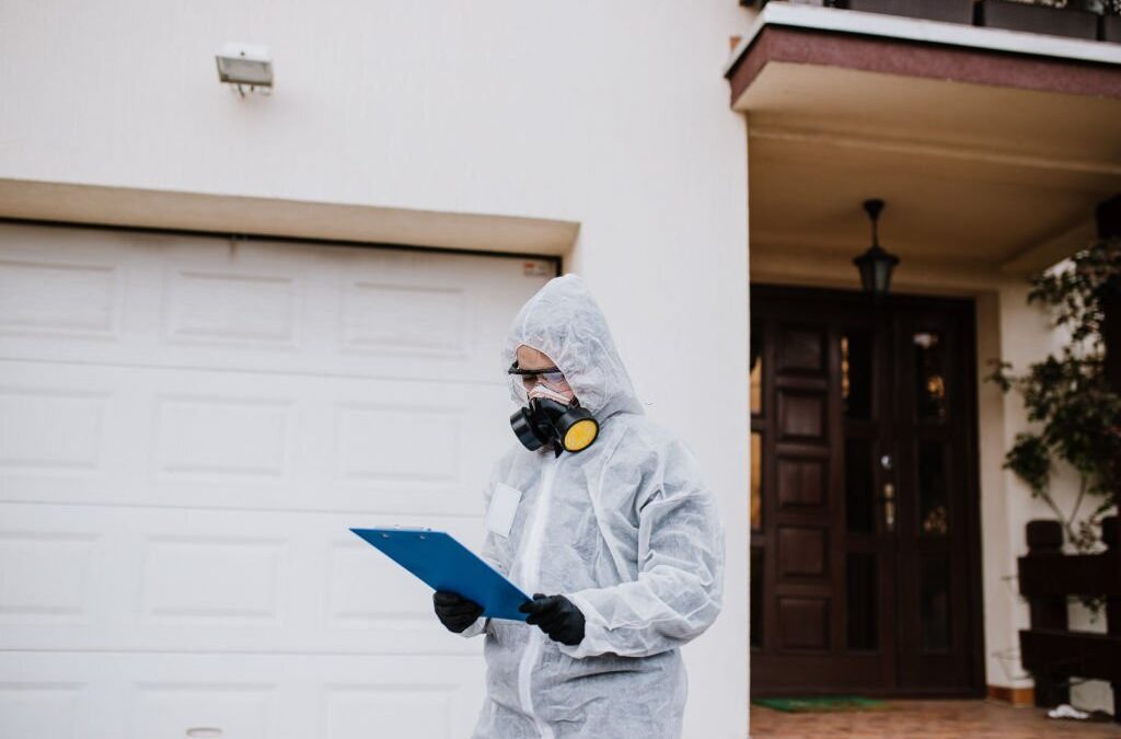 Everything You Need To Know About Pests And Exterminators
