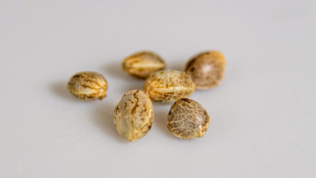 Is it legal to buy weed seeds online?