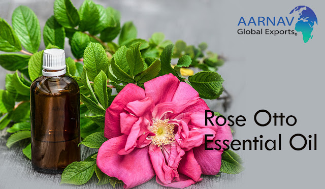 Buy Rose Otto Essential Oil Online