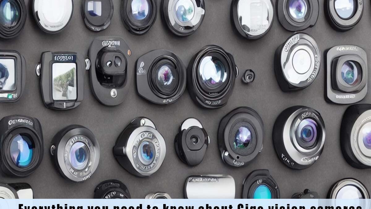 Everything you need to know about Gige vision cameras