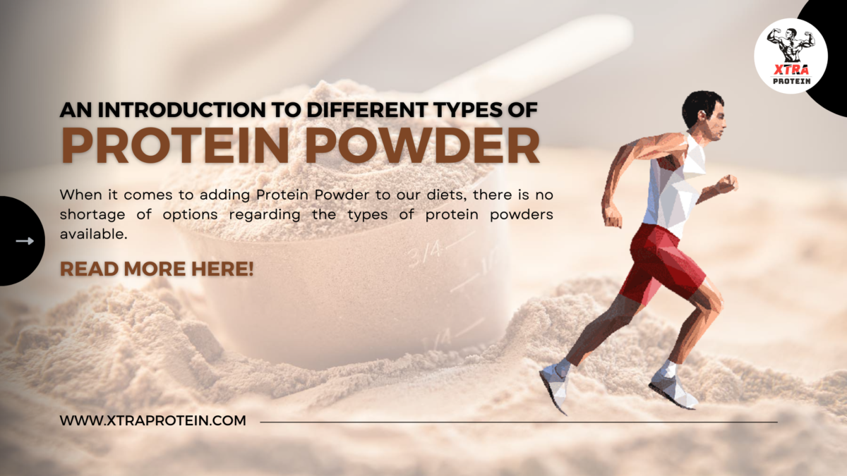 An Introduction to Different Types of Protein Powder