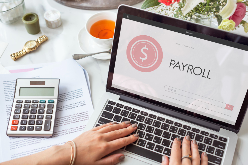 Best 10 Payroll Software In India for Small Business
