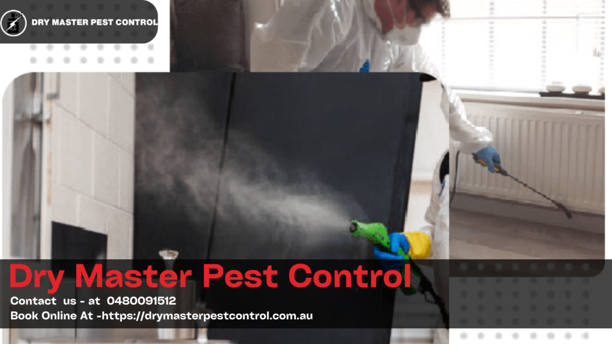 How To Get Rid Of Pests The Smart Way: Tips From A Professional