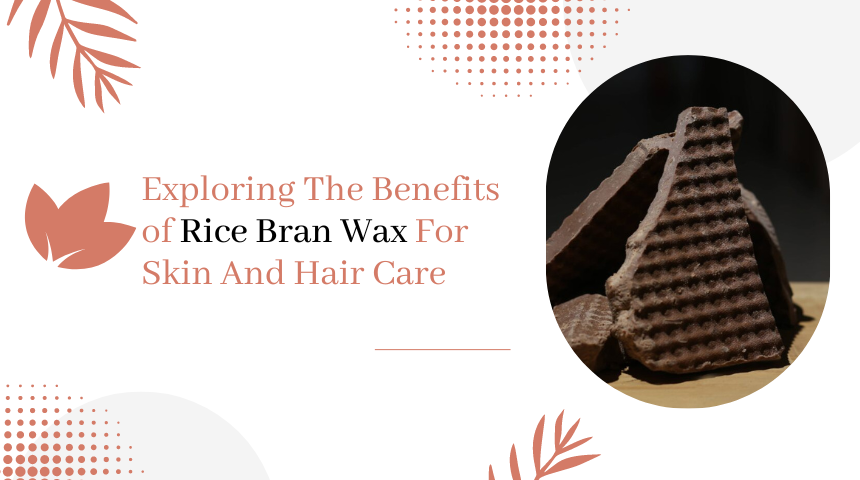 Exploring The Benefits of Rice Bran Wax For Skin And Hair Care