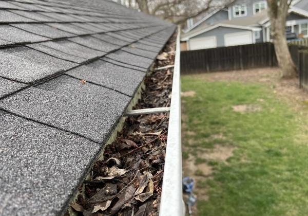 The Reasons Why Professional Gutter Cleaning Is Non-Negotiable