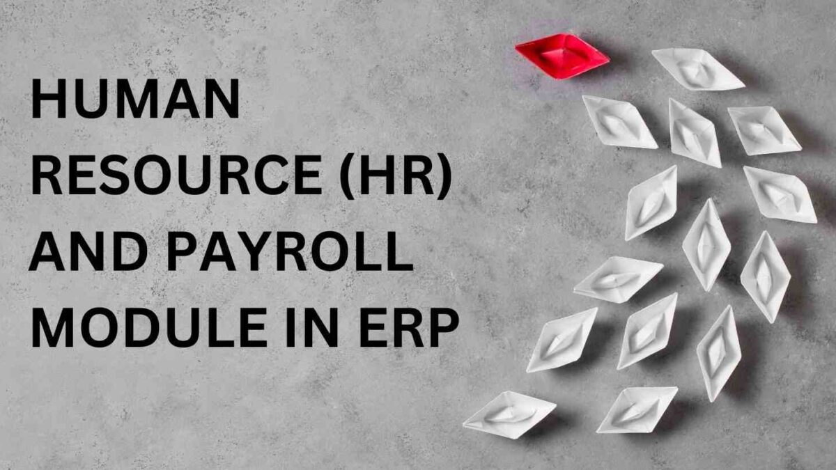 Human Resource (HR) & Payroll Module in ERP