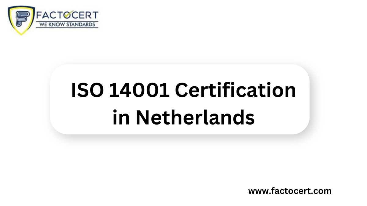 Understanding the Requirements for ISO 14001 Certification