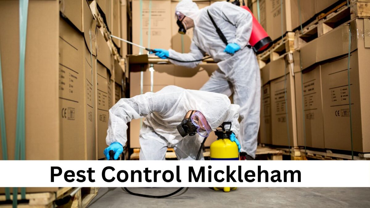 Pest Control Mickleham: Keeping Your Home And Property Protected From Pests!