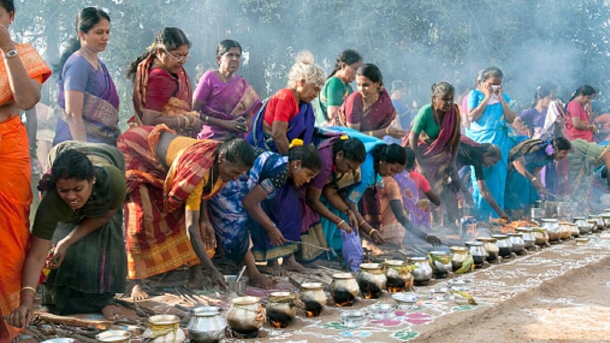 What is the history of the pongal festival and mainly celebrated in which region?