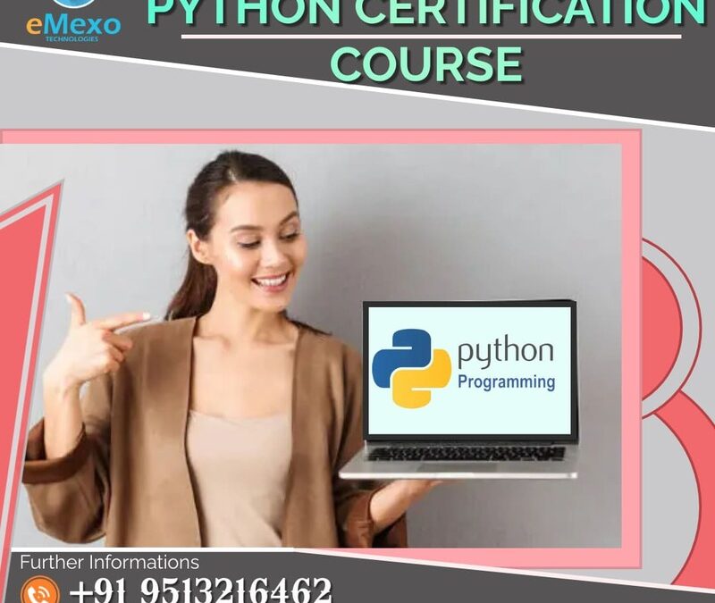 Python Training in Electronic City Bangalore