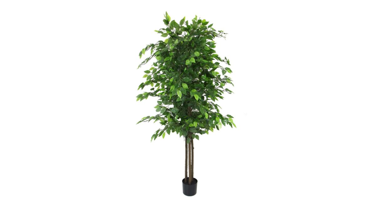 Shop For Beautiful Large Artificial Trees in Australia