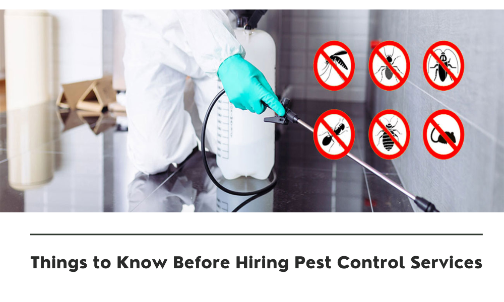 Things to Know Before Hiring Pest Control Services