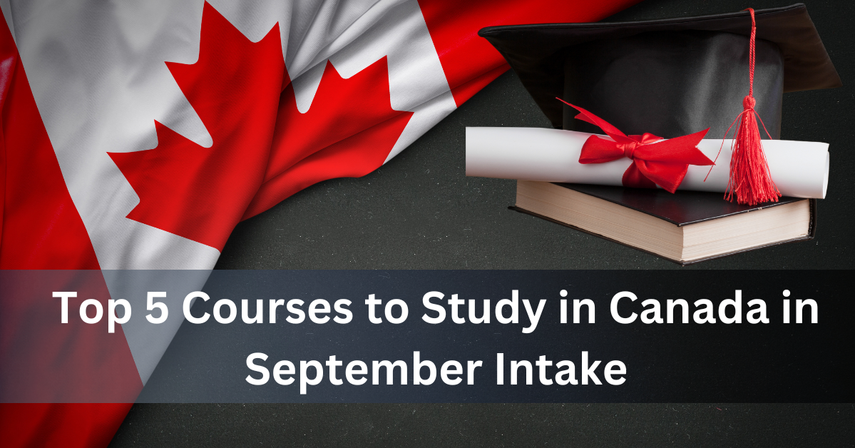 Top 5 Courses to Study in Canada in September Intake