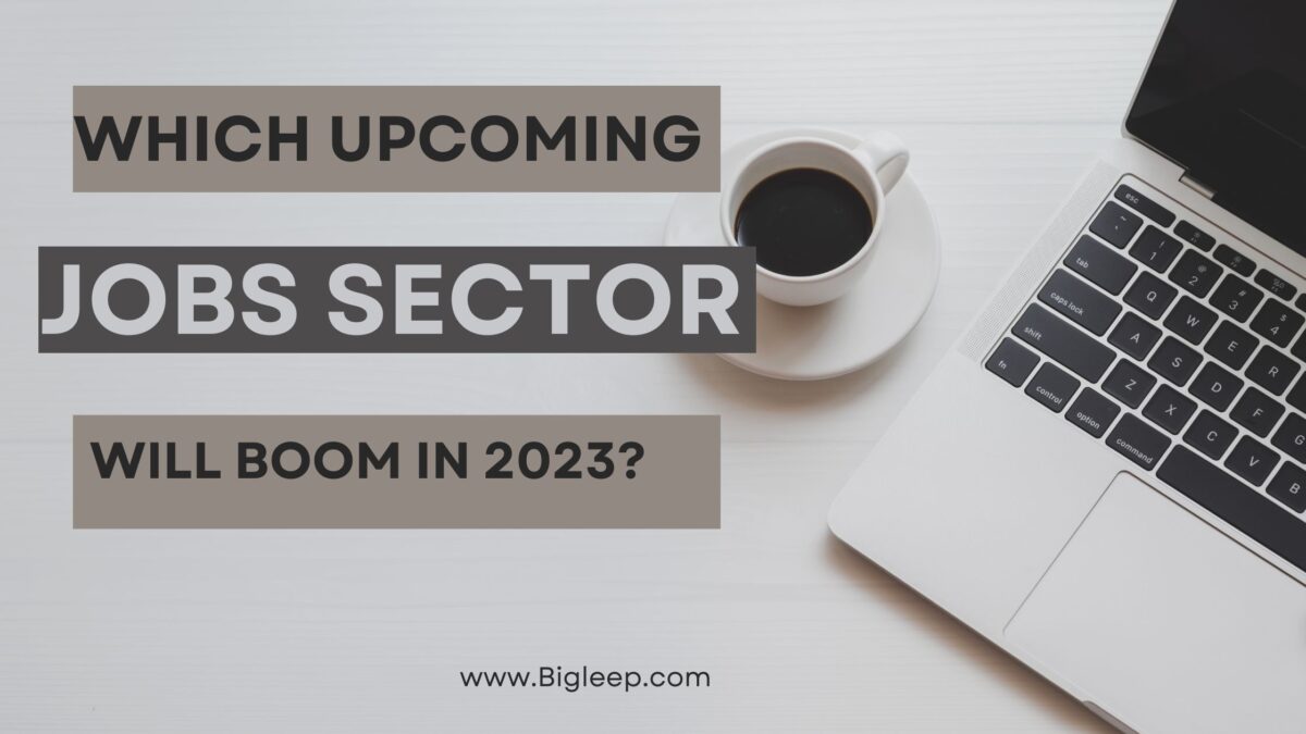 Which Upcoming Jobs Sector Will Boom In 2023?
