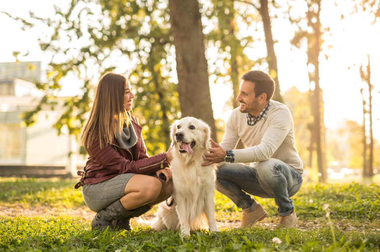 13 Wellbeing Goals You Ought to Make for Your Pet in 2023