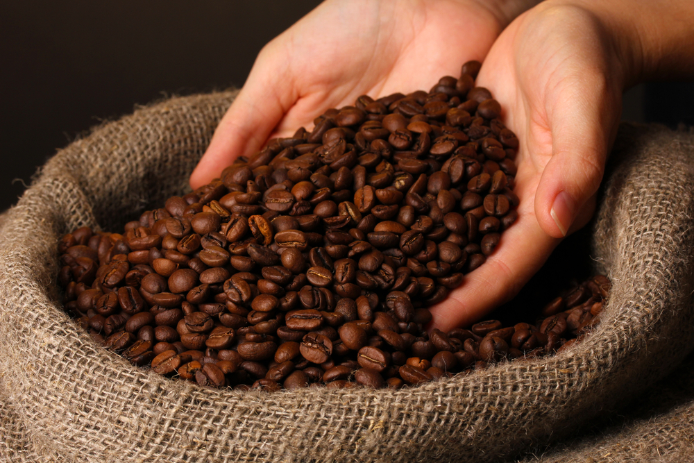 Coffee Beans Supplier