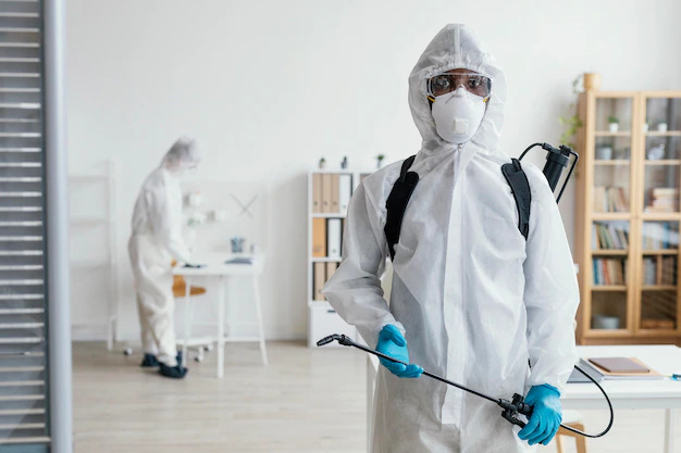 How Can Fumigation Services Help Protect Your Home Against Pests: An Introduction