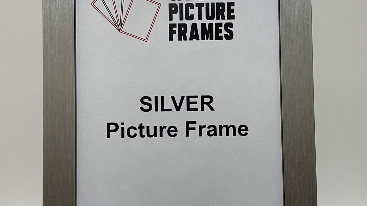 The Amazing Silver Picture Frame SL130
