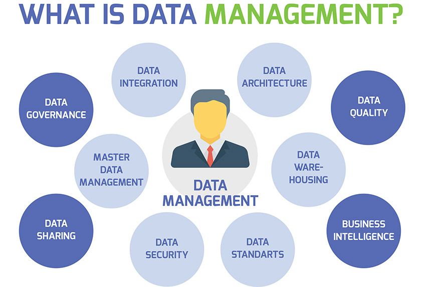 The Importance of Data Management Services In The Success Of A Business.