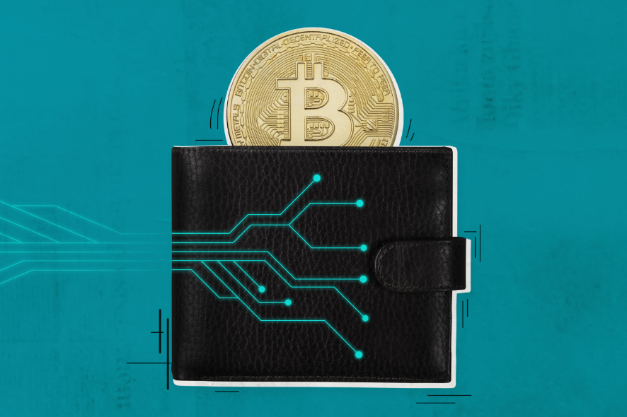 How to Choose a Trusted Bitcoin Wallet: A Beginner’s Guide