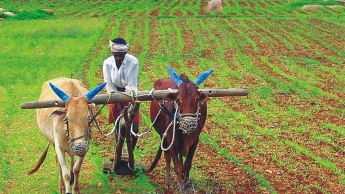 Challenges faced by Indian farmers and Potential Solutions