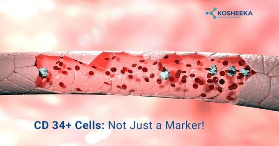 CD 34+ Cells: Not Just a Marker!