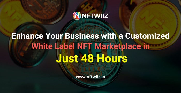 Enhance Your Business with a Customized White Label NFT Marketplace in Just 48 Hours