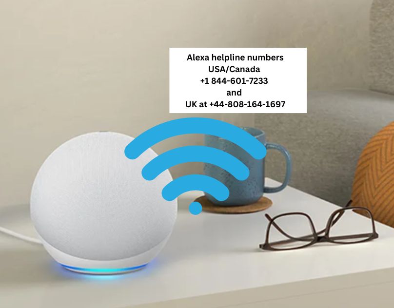 Best Guide: How to Connect Alexa to WiFi
