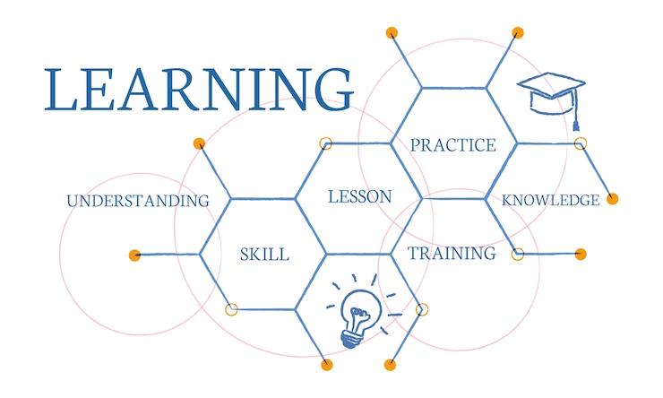 Understanding LMS Learning Paths in Corporate Training