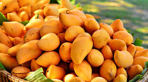 Men’s Health Benefits of Mango