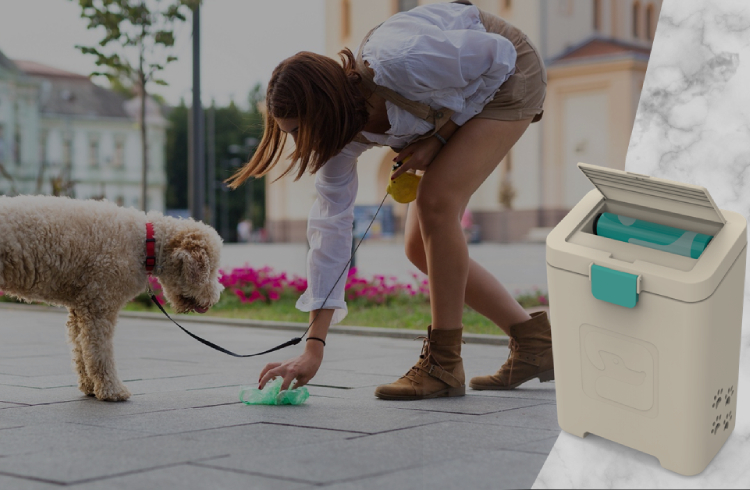 Making Pet Waste Cleanup Easier with Pet Waste Stations