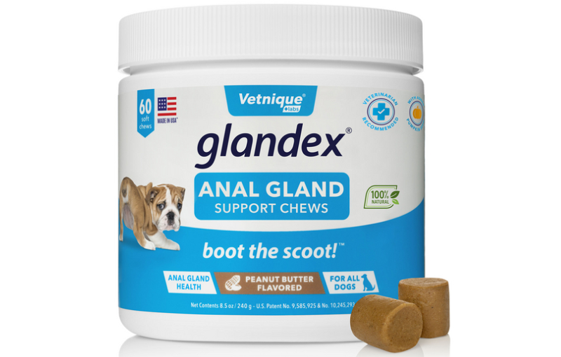 What to Look for When Choosing a Dog Anal Gland Supplement?