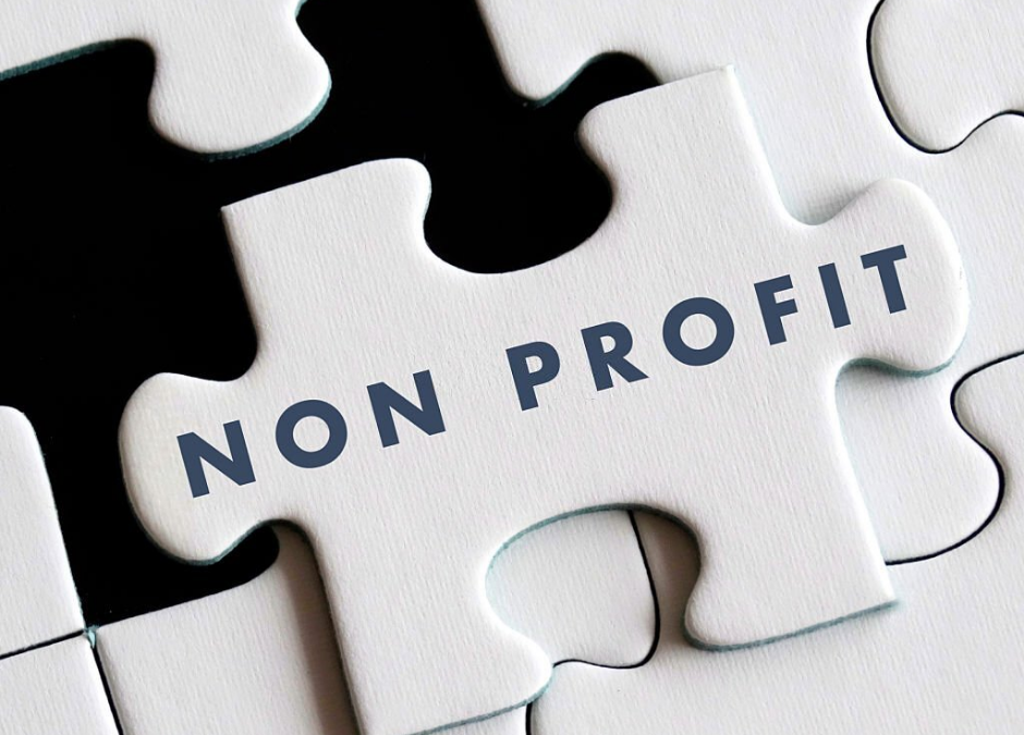 Why One Should Consider Hiring a Non-Profit Consultancy Firm?