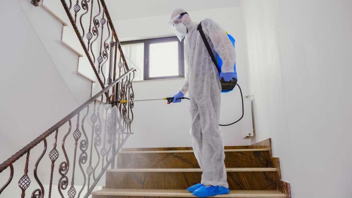 Types of Pest Control Chemicals Used for Eliminating Pests