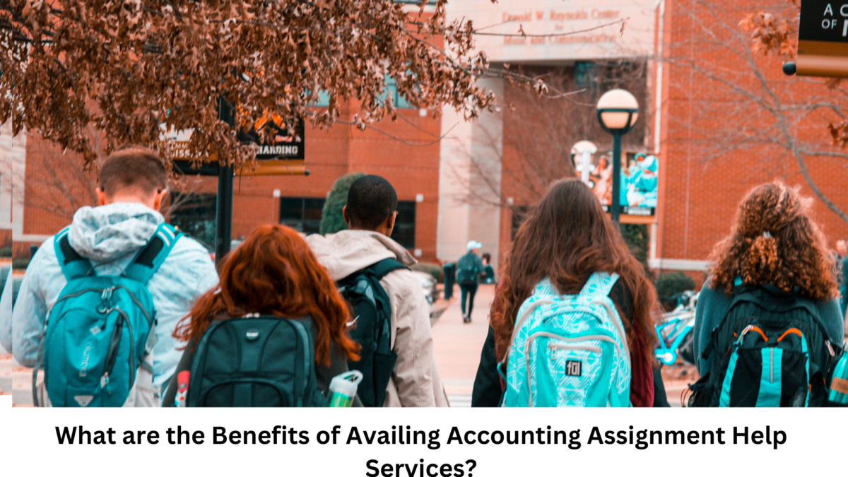 What are the Benefits of Availing Accounting Assignment Help Services?