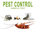 The Difference Between a Pest Control Service and an Exterminator