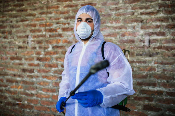 How to prevent pests from invading your home in the first place