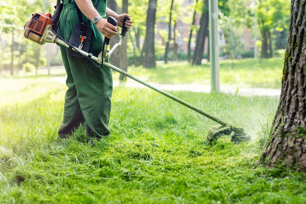 10 Questions to Ask While Looking For the Right Landscaping Service!