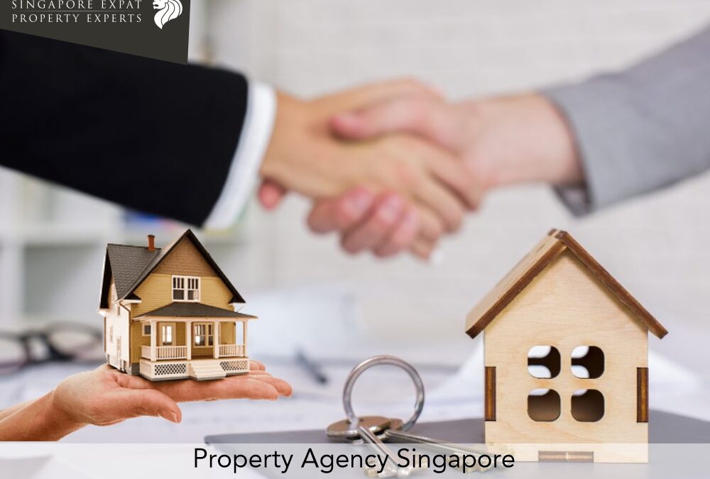 Finding Your Property in Singapore – A Guide to Property Agency Singapore By SEPE