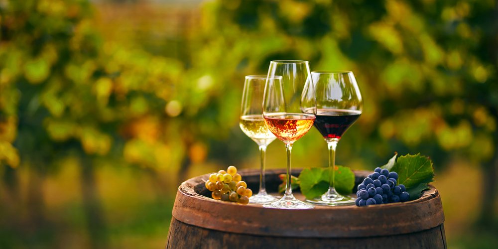 Unwind And Indulge: The Benefits Of Wine Tasting In Long Island