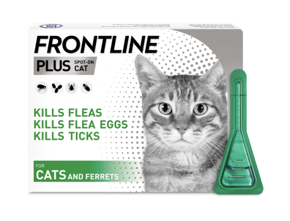 Frontline Cat: Protecting Your Feline Friend from Fleas and Ticks