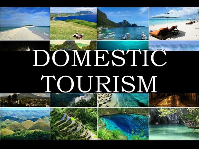 Domestic Tour: Exploring the Wonders of Your Own Country